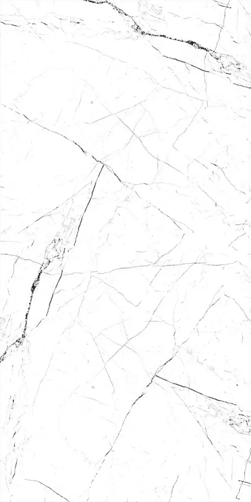 0014905_pietra-white-polished-tile-60x120-cm.webp