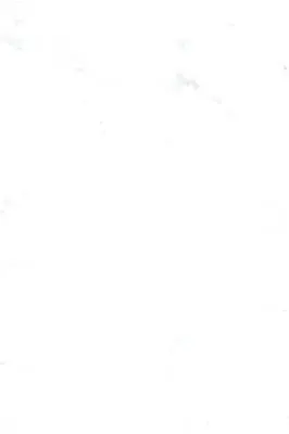 JUNHUA PRIMA CARRARA WHITE WALL TILES 200X300MM