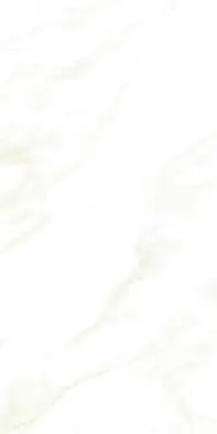 NEO CALACATTA GLOSS WHITE MARBLE 300X600