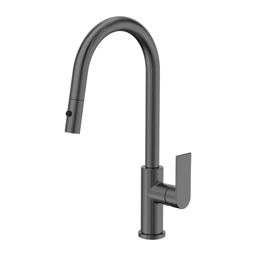 Bianca Pull Out Sink Mixer With Vegie Spray Function Gun Metal