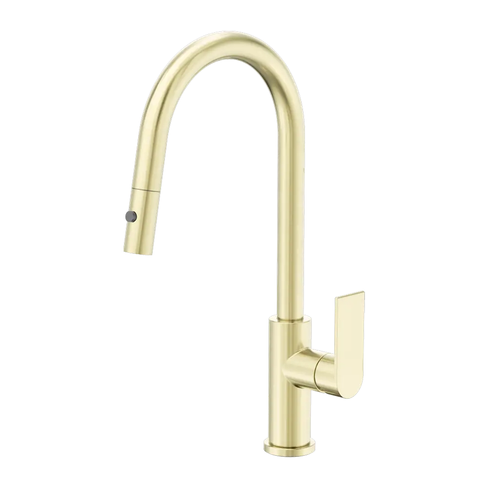 Bianca Pull Out Sink Mixer With Vegie Spray Function Brushed Gold