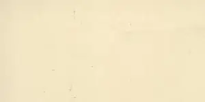 JUNHUA BEGA GLOSS CREAM WALL TILES 100X200mm