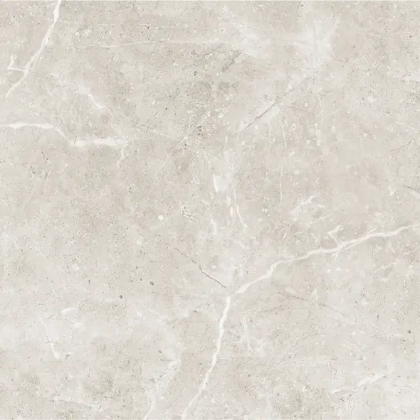 OCEAN TAUPE POLISHED 600X600
