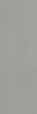 JUNHUA ENTRANCE GLOSS GREY WALL TILES 100x300mm