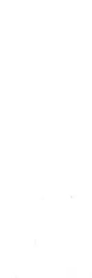 JUNHUA ENTRANCE GLOSS WHITE WALL TILES 100x300mm