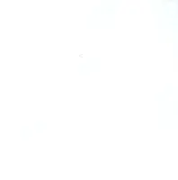 LAURIETON WAVY GLOSS WHITE 200X200