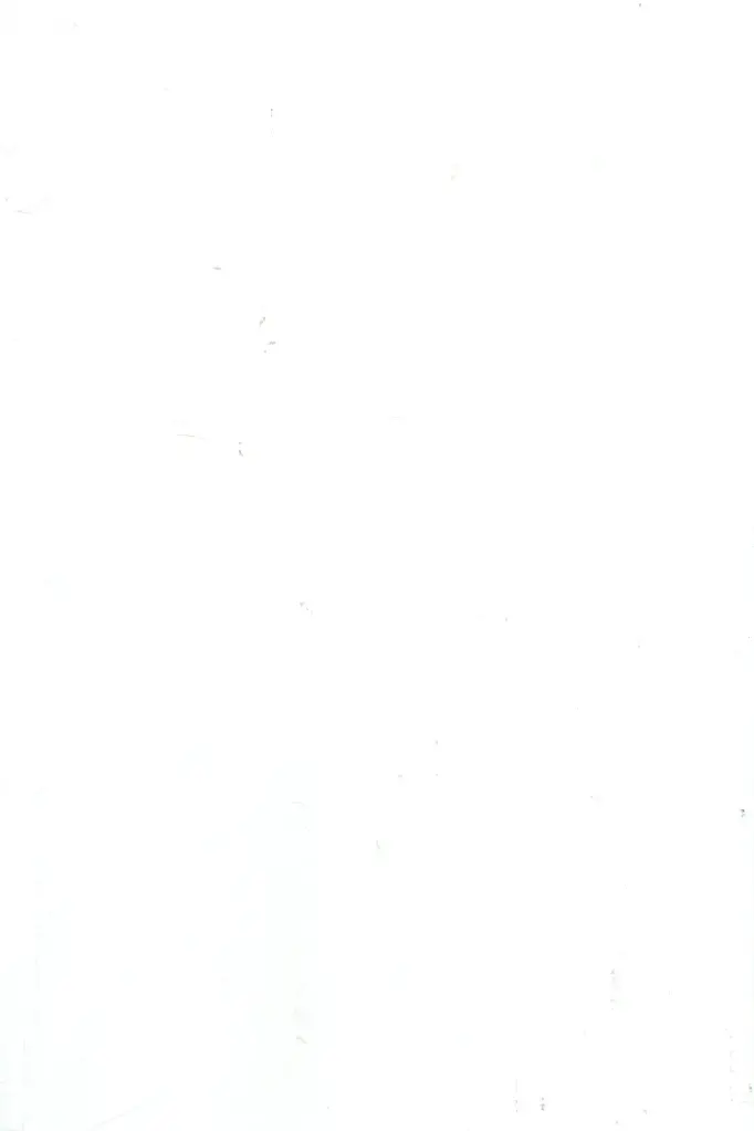 BYRON WAVY GLOSS WHITE WALLS 200X300