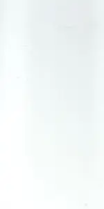 JUNHUA KINGSFORD GLOSS WHITE WALL TILES 200x400mm