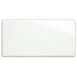 DAWSON GLOSS WHITE NON-RECTIFIED WALL 300X600