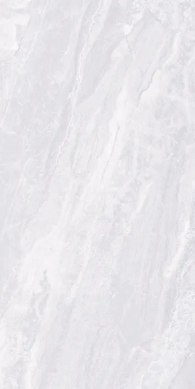 PALACE GREY GLOSS 300X600