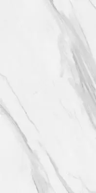 CAPUCIINO CATALINA GP WHITE POLISHED FLOOR TILES 600x1200mm