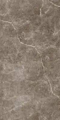 CAPUCIINO OCEAN MATT GP MOCHA FLOOR TILES 600x1200mm