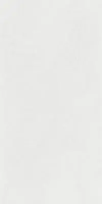 CAPUCIINO NETWORK WHITE GP FLLOR TILES 300x600mm