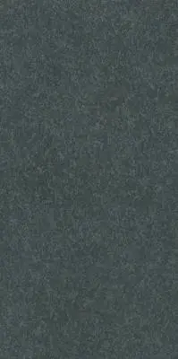 CAPUCIINO PARLA GRANITE BLACK EXT FLOOR TILES 300x600mm