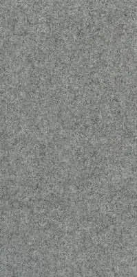 CAPUCIINO PARLA GRANITE GREY P4 EXT FLOOR TILES 300x600mm