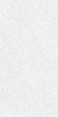 FLORINA QUARRAZZO LAPPATO SNOW WHITE FLOOR TILES 300x600mm