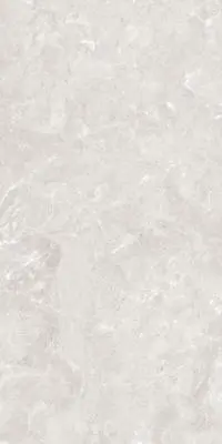 QUTONE ARMANI POLISHED GRIS FLOOR TILES 600x1200mm