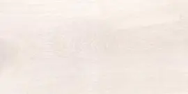 NCIA ROCKY MTS INT WHITE FLOOR TILES 300x600mm