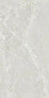 TIARON ARDESIA HONED SILVER FLOOR TILES 300x600mm