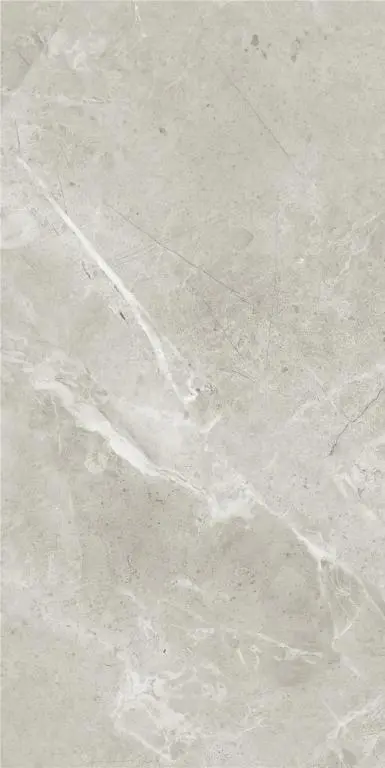 BUDGET RECTIFIED   FROST FLOOR TILE 30X60MM