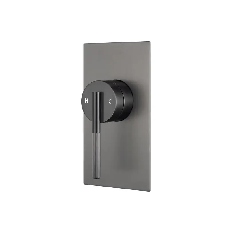 CADDENCE -Brushed Gunmetal Wall Mixer