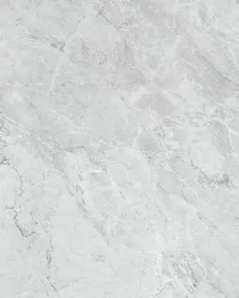 RICHMOND IN/OUT ICE FLOOR TILE 30X60MM