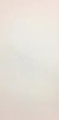 BUDGET RECTIFIED POLAR WHITE GLOSS CERAMIC RECTIFIED WALL TILES 30X60