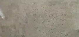 NEWYORK MANHATTAN FAWN GLOSS RECTIFIED WALL TILES 30X60