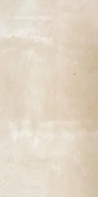 ROMAN LIGHT BROWN DIGITIAL N/R CERAMIC WALL TILES 30X60