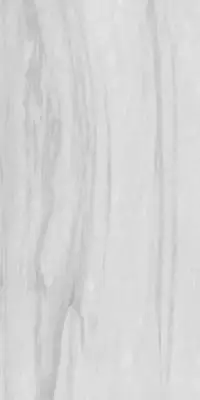 ROMAN DIGITAL RECTIFIED GLOSS ICELAND WHITE CERAMIC WALL TILES 30x60