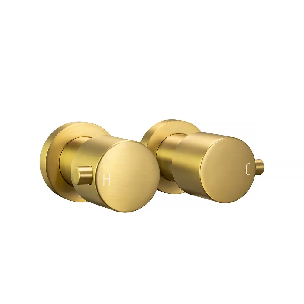 Round Brushed Brass Shower Wall Taps