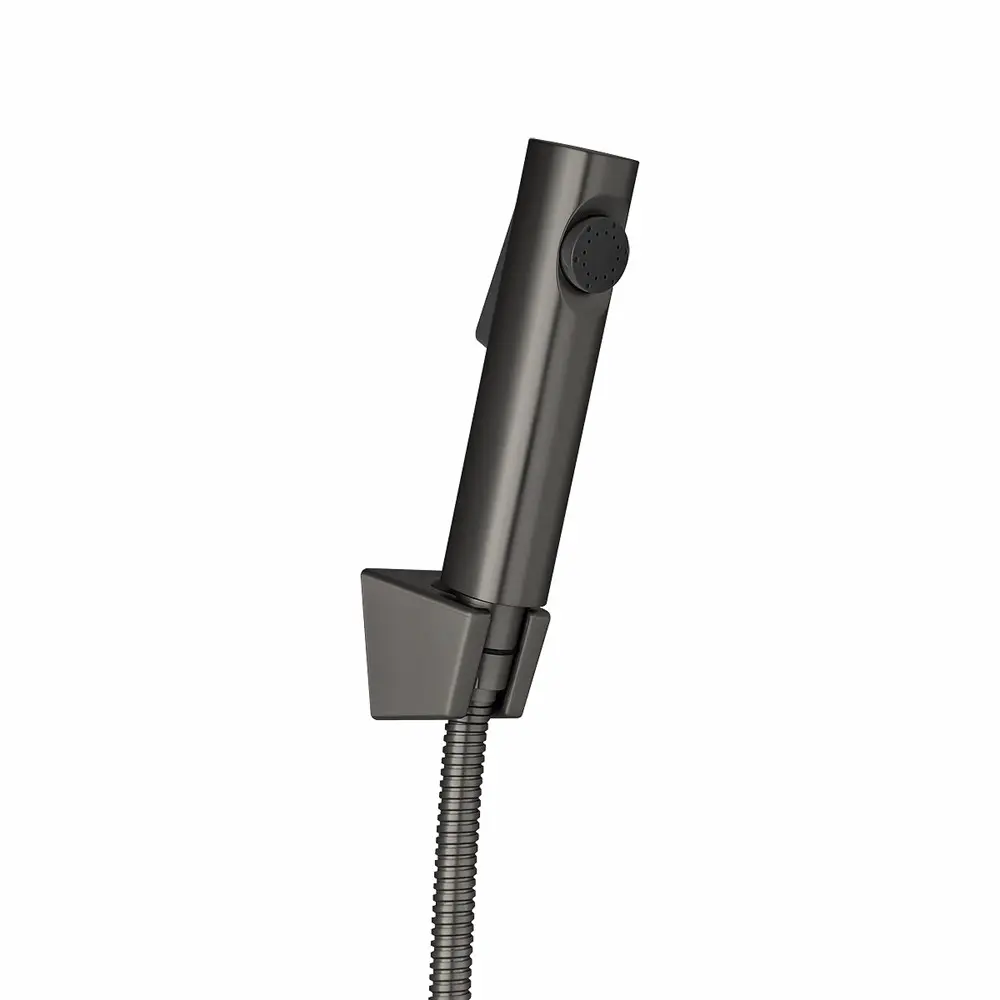 Gunmetal ABS Toilet Bidet 