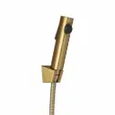 Brushed Brass ABS Toilet Bidet 