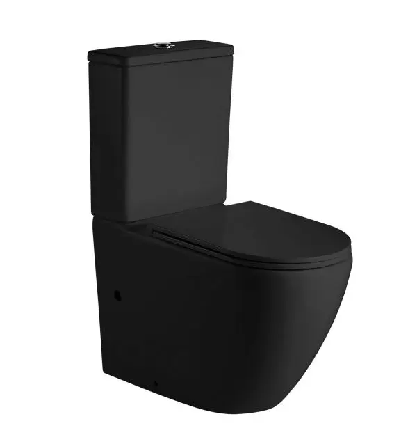 NORTON 665*360*845mm Matte Black Quiet Flushing Back to Wall Two-piece Toilet Suite 