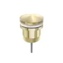 UNIVERSAL POP-UP WASTE BRUSHED GOLD 