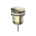 UNIVERSAL POP-UP WASTE AGED BRASS 