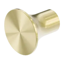 ZEN SS316L BRUSHED GOLD ROBE HOOK