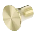 ZEN SS316L BRUSHED GOLD ROBE HOOK