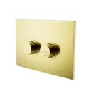 RAISED DISABLED BRUSHED GOLD CARE PNEUMATIC FLUSH BUTTONS PLATE DDA COMPLIANT