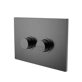 RAISED DISABLED GUN METAL CARE PNEUMATIC FLUSH BUTTONS PLATE DDA COMPLIANT