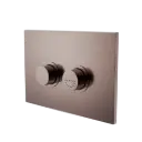 RAISED DISABLED BRUSHED BRONZE CARE PNEUMATIC FLUSH BUTTONS PLATE DDA COMPLIANT