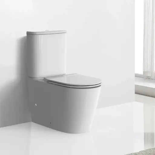 [AW-AB2231H/AS8231D] Arrow Sergio 669*384*805mm Dual Flush Washdown Two-piece Ceramic Toilet Suite Soft Closed Seat 
