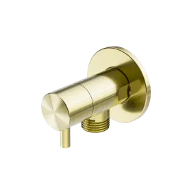 [NR262109EBG] MINI BRUSHED GOLD CISTERN STOP