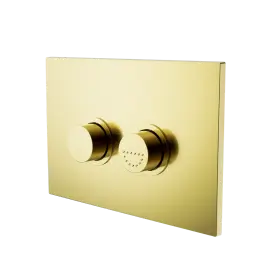 [NRCRPL002BG] RAISED DISABLED BRUSHED GOLD CARE PNEUMATIC FLUSH BUTTONS PLATE DDA COMPLIANT